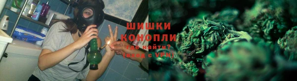 соль ск Абаза
