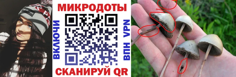 Галлюциногенные грибы Psilocybine cubensis Весьегонск