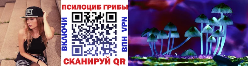 Галлюциногенные грибы Psilocybe  купить   Весьегонск 